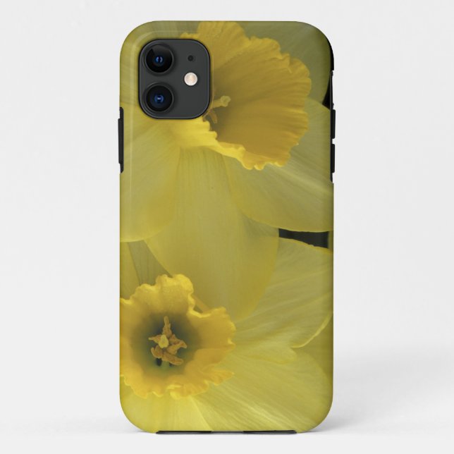 Capa Para iPhone Da Case-Mate EUA, Utah, Daffodils do Vale de Cache (Verso)