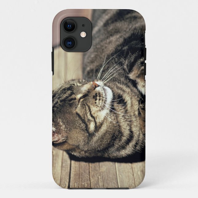 Capa Para iPhone Da Case-Mate EUA, Utah, Parque Nacional Capitol Reef. Gato raja (Verso)