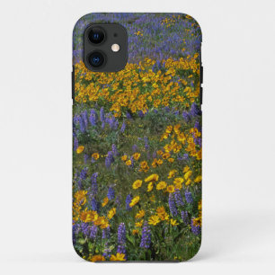 Capa Para iPhone Da Case-Mate EUA, Washington, Garganta do Rio Columbia Nacional