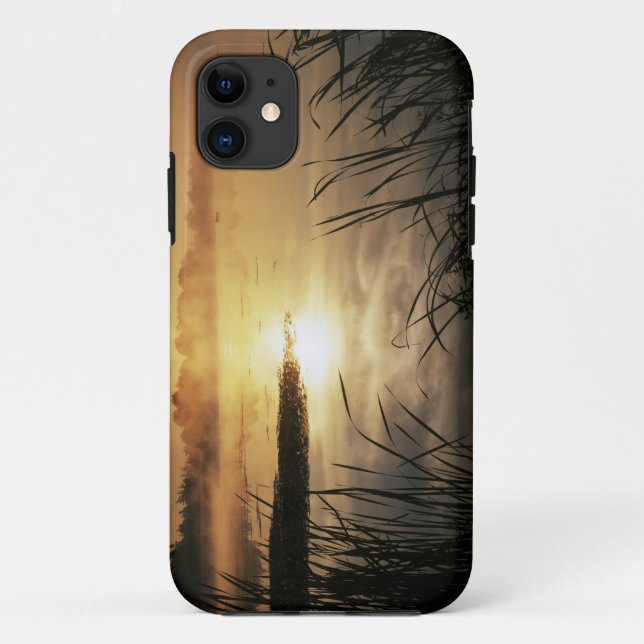 Capa Para iPhone Da Case-Mate EUA, Washington, Lopez Island, Nevoeiro da manhã e (Verso)