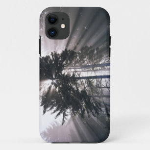 Capa Para iPhone Da Case-Mate EUA, Washington, Parque Nacional Olímpico, Manhã