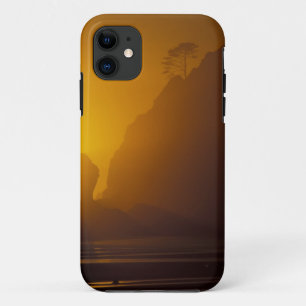 Capa Para iPhone Da Case-Mate EUA, Washington, Parque Nacional Olímpico, Pôr-do-