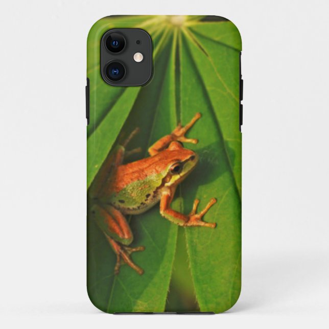 Capa Para iPhone Da Case-Mate EUA, Washington, Seattle, Discovery Park 2 (Verso)