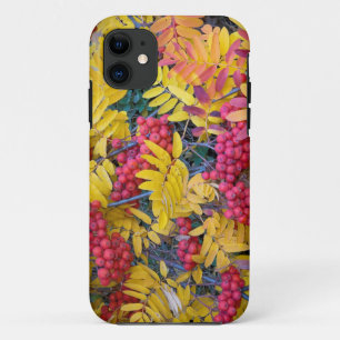 Capa Para iPhone Da Case-Mate EUA, Washington, Sorveira Ocidental, Okanogan