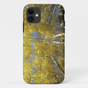 Capa Para iPhone Da Case-Mate EUA, Washington, Stevens Pass Álamo colorido de ou