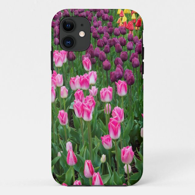 Capa Para iPhone Da Case-Mate EUA, Washington. Tulipas em flor (Verso)