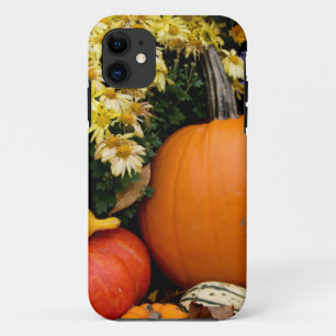 Capa Para iPhone Da Case-Mate Exposição colorida de abóbora decorativa de outono