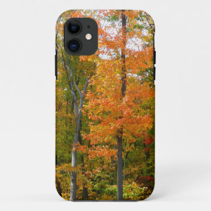 Capa Para iPhone Da Case-Mate Fall Maple Trees Autumn Nature Fotografia