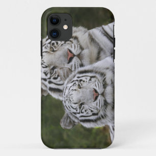 Capa Para iPhone Da Case-Mate Fase branca, tigre-de-bengala, Tigris