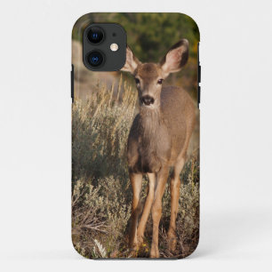 Capa Para iPhone Da Case-Mate Fawn iPhone 5