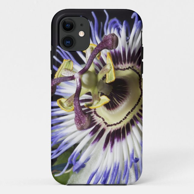 Capa Para iPhone Da Case-Mate Fecho de Passionflower (MR) (Verso)