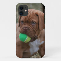 Filhote de cachorro francês do Mastiff