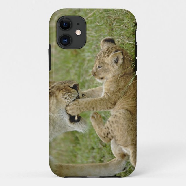 Capa Para iPhone Da Case-Mate Filhote de Leão Brincando (Verso)