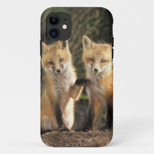 Capa Para iPhone Da Case-Mate Filhote de Raposa Vermelha em frente à toca Vulpes