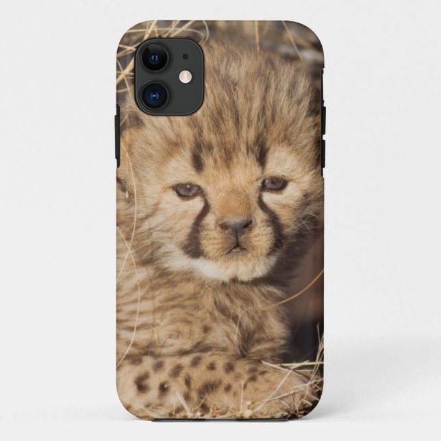 Capa Para iPhone Da Case-Mate Filhote macho de 19 dias. Namíbia (Verso)