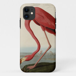 Capa Para iPhone Da Case-Mate Flamingo americano