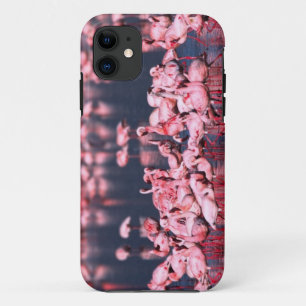 Capa Para iPhone Da Case-Mate Flamingos-menores (Phoeniconaias minor), África,