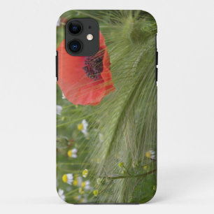Capa Para iPhone Da Case-Mate Flor de papoula vermelha, Toscana, Itália