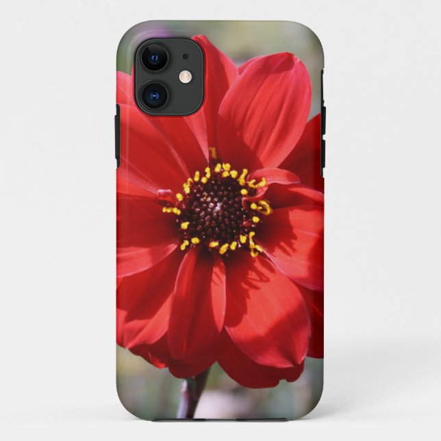 Capa Para iPhone Da Case-Mate Flor Vermelho (Verso)