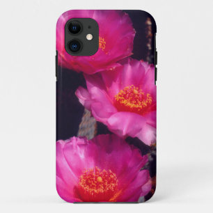 Capa Para iPhone Da Case-Mate Flores de Cactus Beavertail 2
