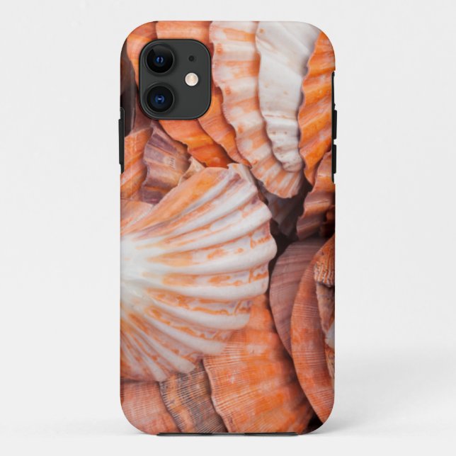Capa Para iPhone Da Case-Mate Florida Keys, Key West, conchas (Verso)