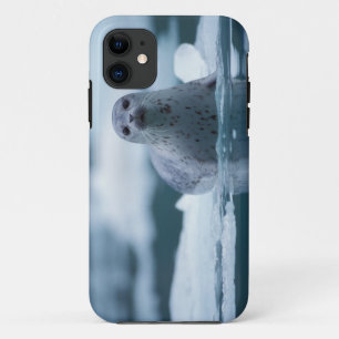 Capa Para iPhone Da Case-Mate foca-comum-do-pacífico, Phoca vitulina richardsi