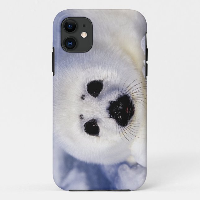 Capa Para iPhone Da Case-Mate Foca vedelha gelo Golfo de São Lourenço, (Verso)