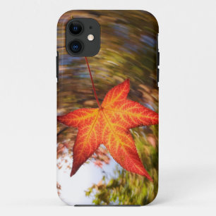 Capa Para iPhone Da Case-Mate Folha caindo de uma árvore no outono