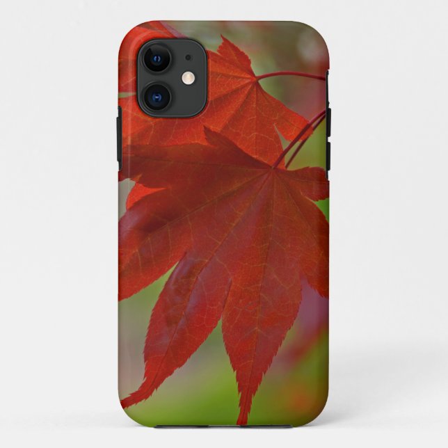 Capa Para iPhone Da Case-Mate Folhas de Árvore Vermelha (Verso)