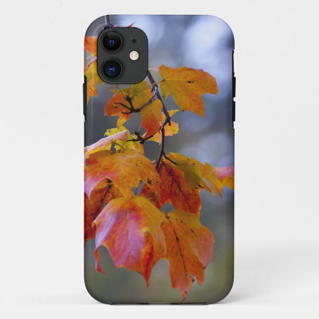 Capa Para iPhone Da Case-Mate Folhas de outono (Verso)