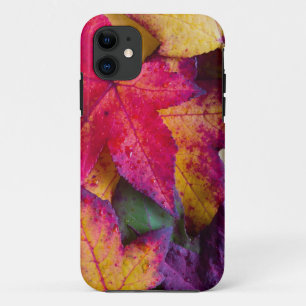 Capa Para iPhone Da Case-Mate Folhas de outono #2