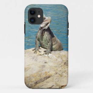 Capa Para iPhone Da Case-Mate Fotografia da Vida Selvagem Tropical de Iguana