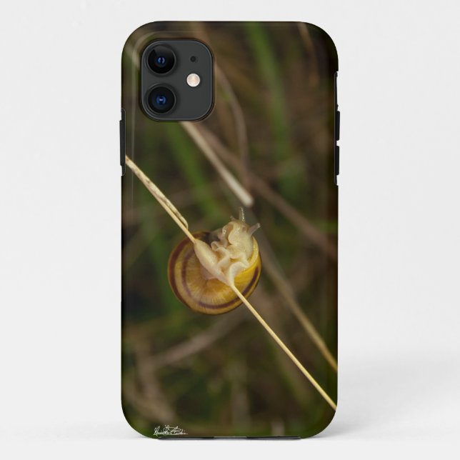 Capa Para iPhone Da Case-Mate fotografia de insecto numa casca sobre uma erva (Verso)