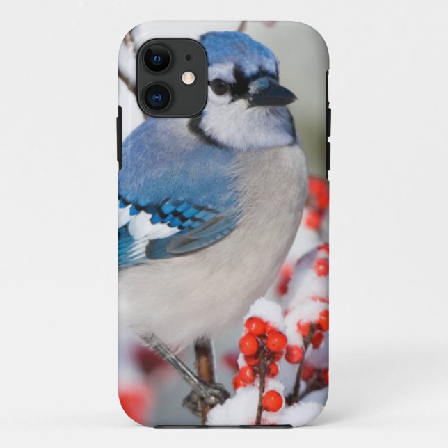 Capa Para iPhone Da Case-Mate Gaio-azul em Winterberry-comum (Verso)