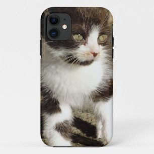 Capa Para iPhone Da Case-Mate Gatinho do smoking do bebê - caso do iPhone 5 do