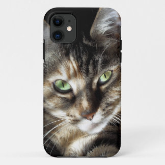 Capa Para iPhone Da Case-Mate Gatinho do zen