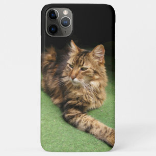 Capa Para iPhone Da Case-Mate Gato