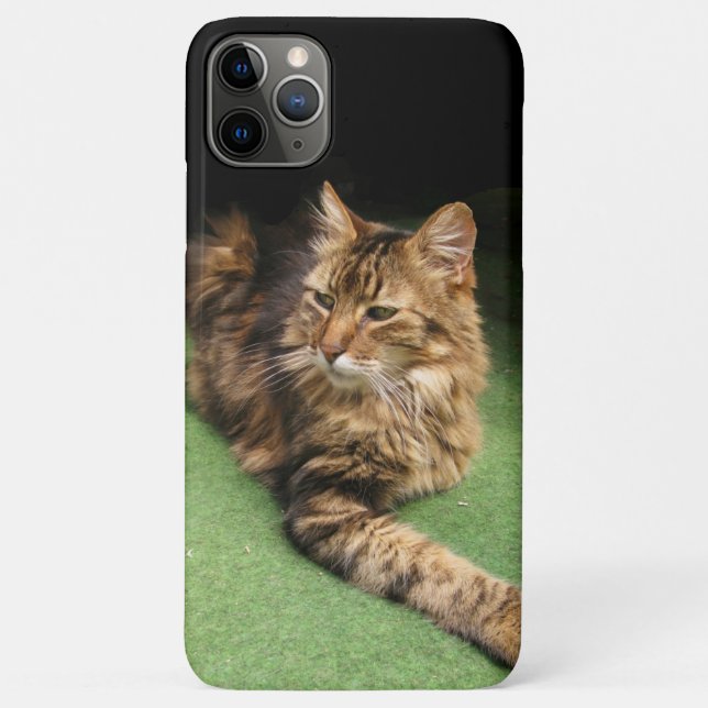 Capa Para iPhone Da Case-Mate Gato (Verso)