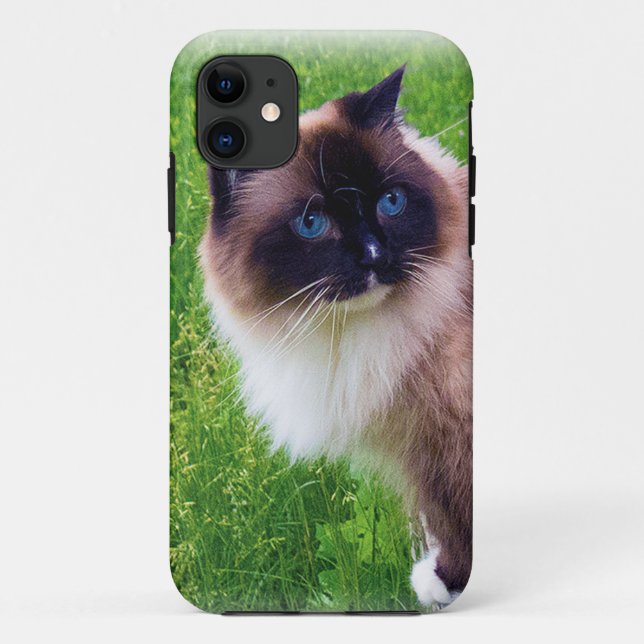 Capa Para iPhone Da Case-Mate Gato bonito de Ragdoll (Verso)