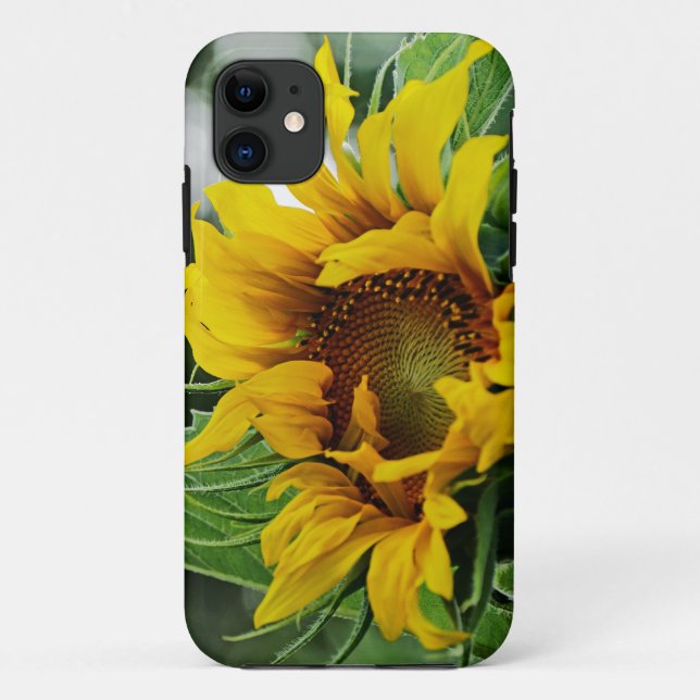 Capa Para iPhone Da Case-Mate Girassol (Verso)