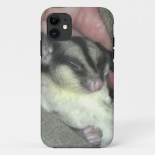 Capa Para iPhone Da Case-Mate Glider de açúcar dormindo no cobertor