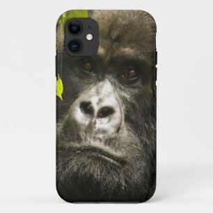 Capa Para iPhone Da Case-Mate Gorila-da-montanha, Gorilla beringei beringei,