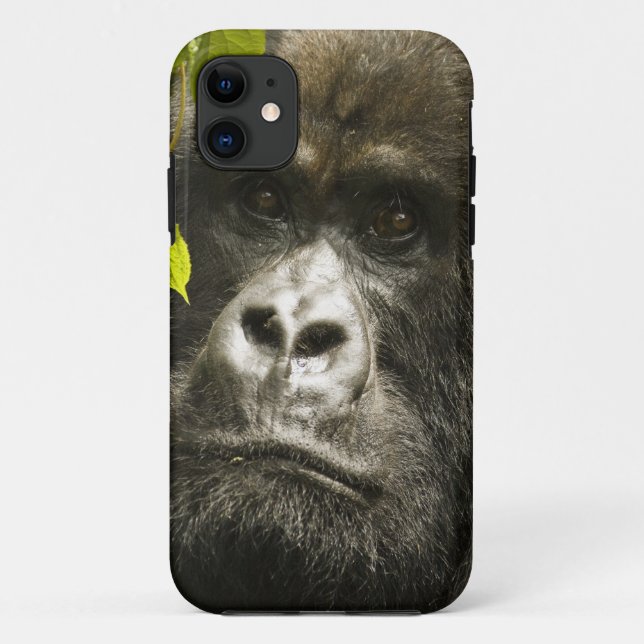 Capa Para iPhone Da Case-Mate Gorila de montanha, Gorilla beringei beringei, (Verso)