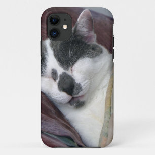 Capa Para iPhone Da Case-Mate Guarda de Gatos
