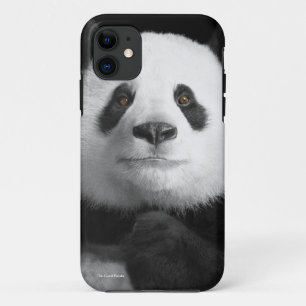 Capa Para iPhone Da Case-Mate Imagem de Panda para iPhone-5-5S-Baely-Ali