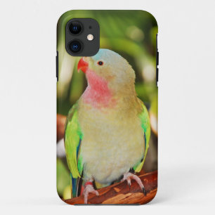 Capa Para iPhone Da Case-Mate Impressão verde do parakeet da princesa