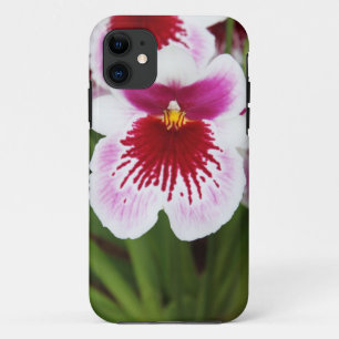 Capa Para iPhone Da Case-Mate iPhone gráfico 5case da foto da íris elegante da