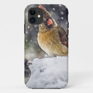 Capa Para iPhone Da Case-Mate I've obteve meu olho em você