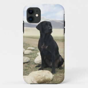 Capa Para iPhone Da Case-Mate Labrador retriever preto customizável