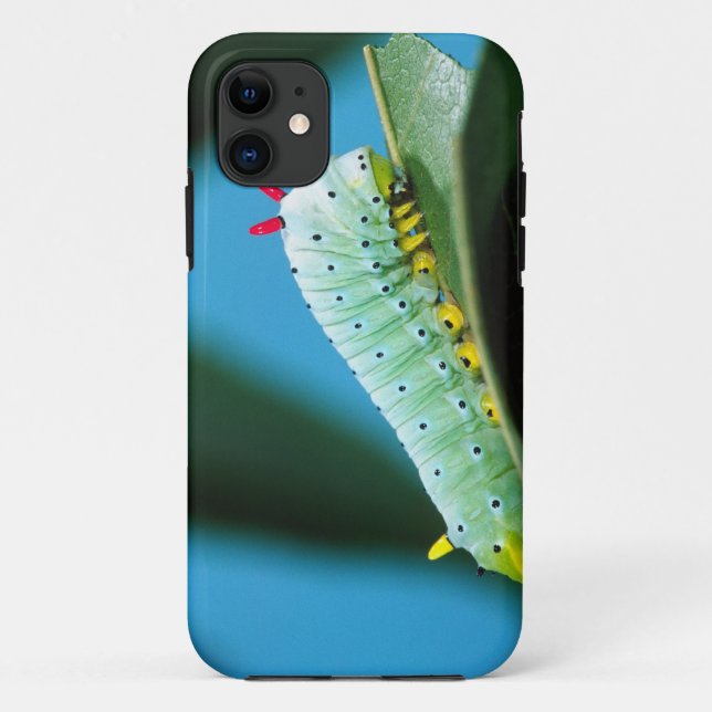 Capa Para iPhone Da Case-Mate Lagarta da Mariposa Prometeu, Callosamia (Verso)